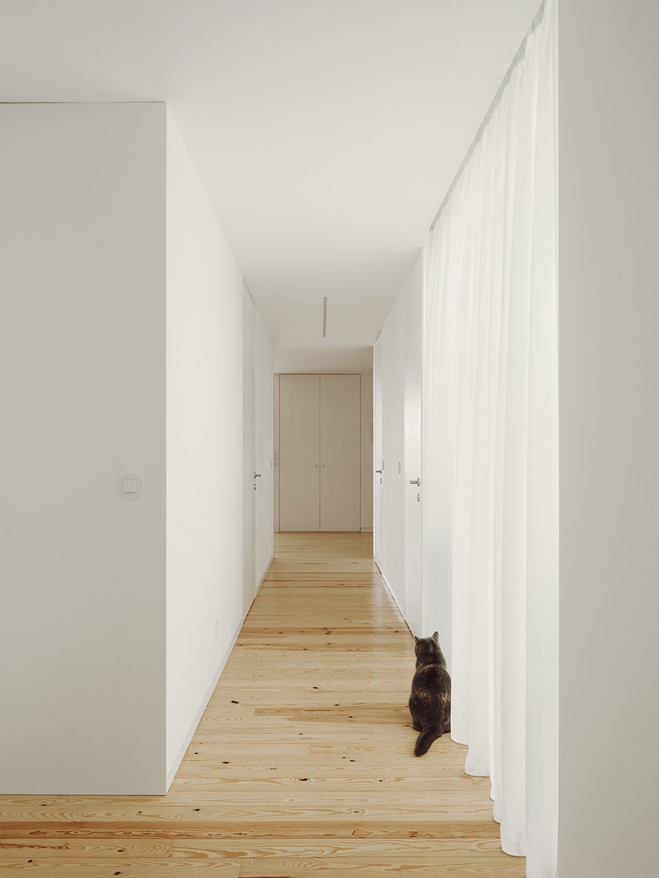 casa chouso by bruno dias arquitectura