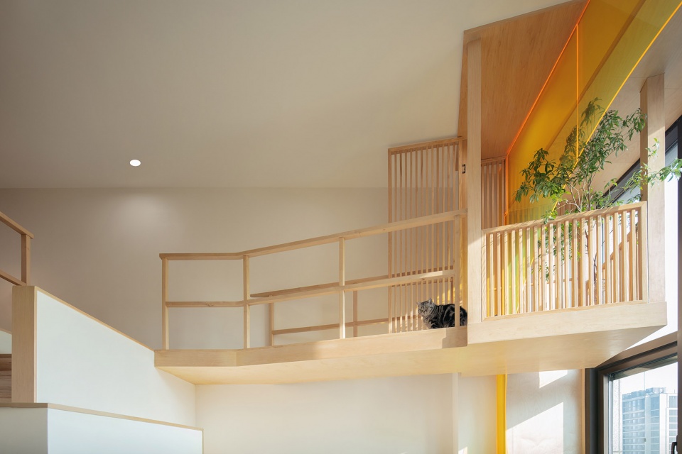 home for a girl and six cats residential unit design by jiejie studio