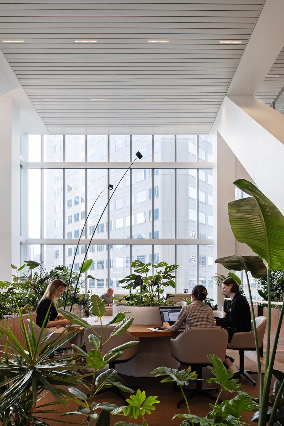 nab places new melbourne hq by hassell