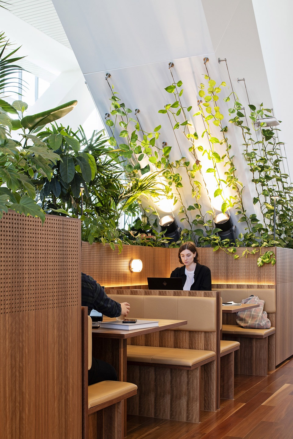 nab places new melbourne hq by hassell