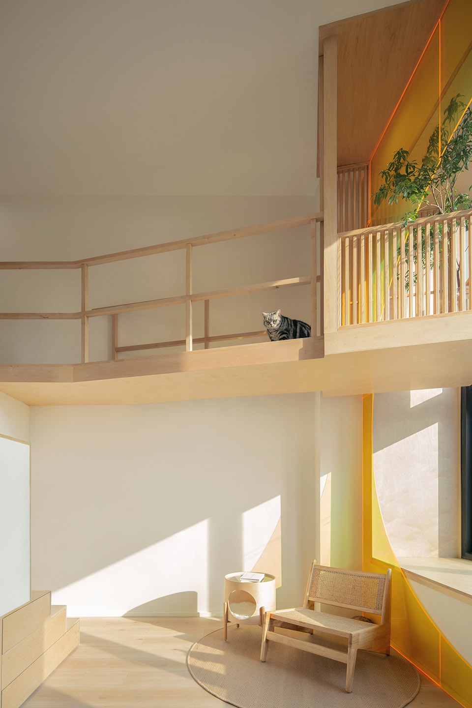 home for a girl and six cats residential unit design by jiejie studio