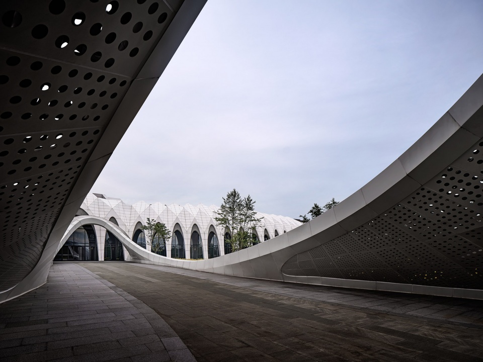 international migratory bird town convention exhibition center by oi architects