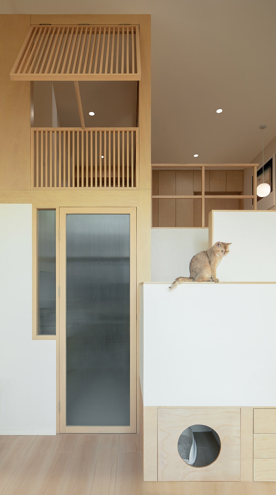 home for a girl and six cats residential unit design by jiejie studio
