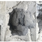上海市工人文化宫茉莉花剧场改造项目 / 上海华建工程建设咨询有限公司