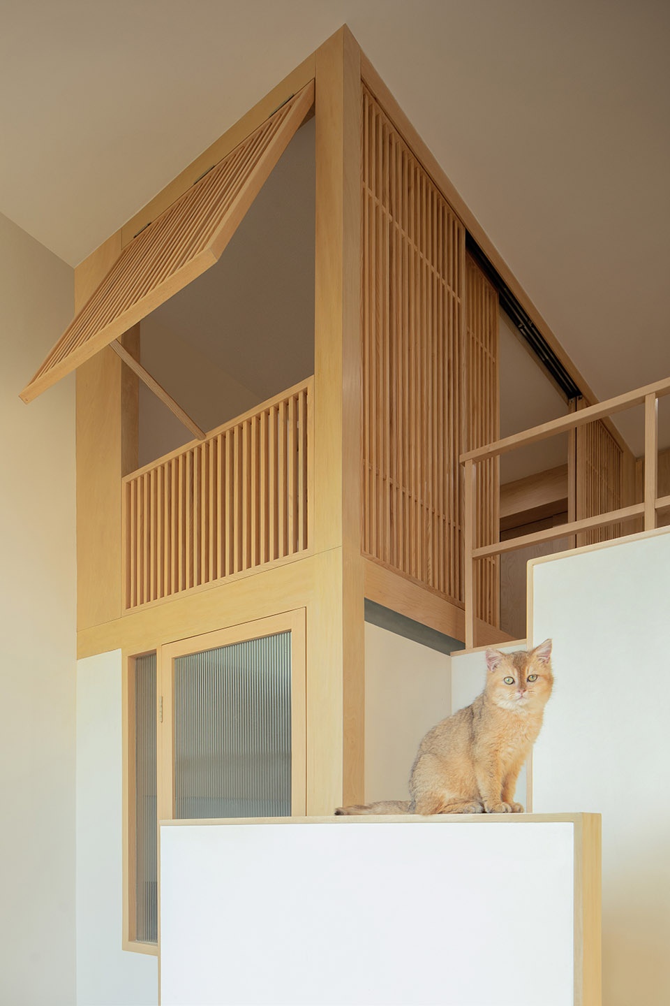 home for a girl and six cats residential unit design by jiejie studio