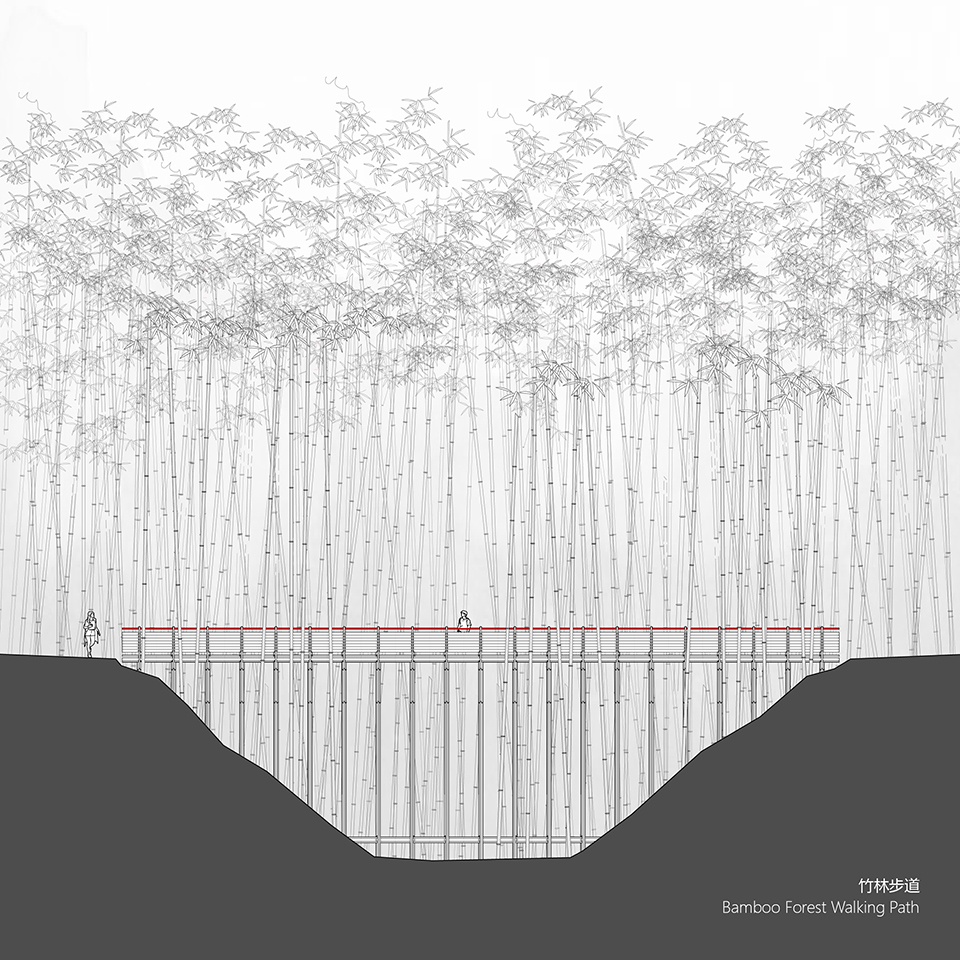 Bamboo Forest Walking Path at Sun Township Huoshan County Anhui Province by Fu Yingbin Studio