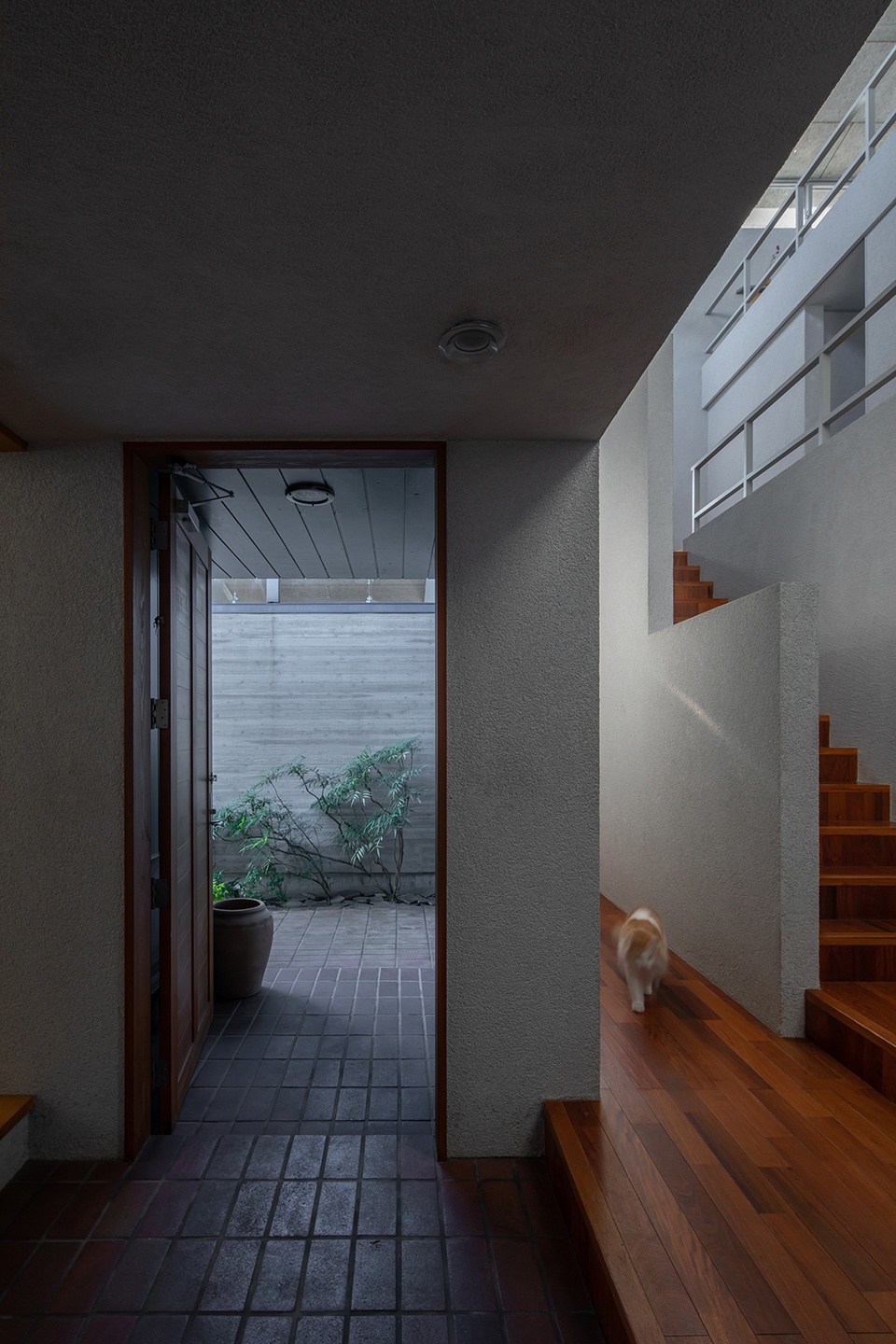 Leading House by FORM Kouichi Kimura Architects