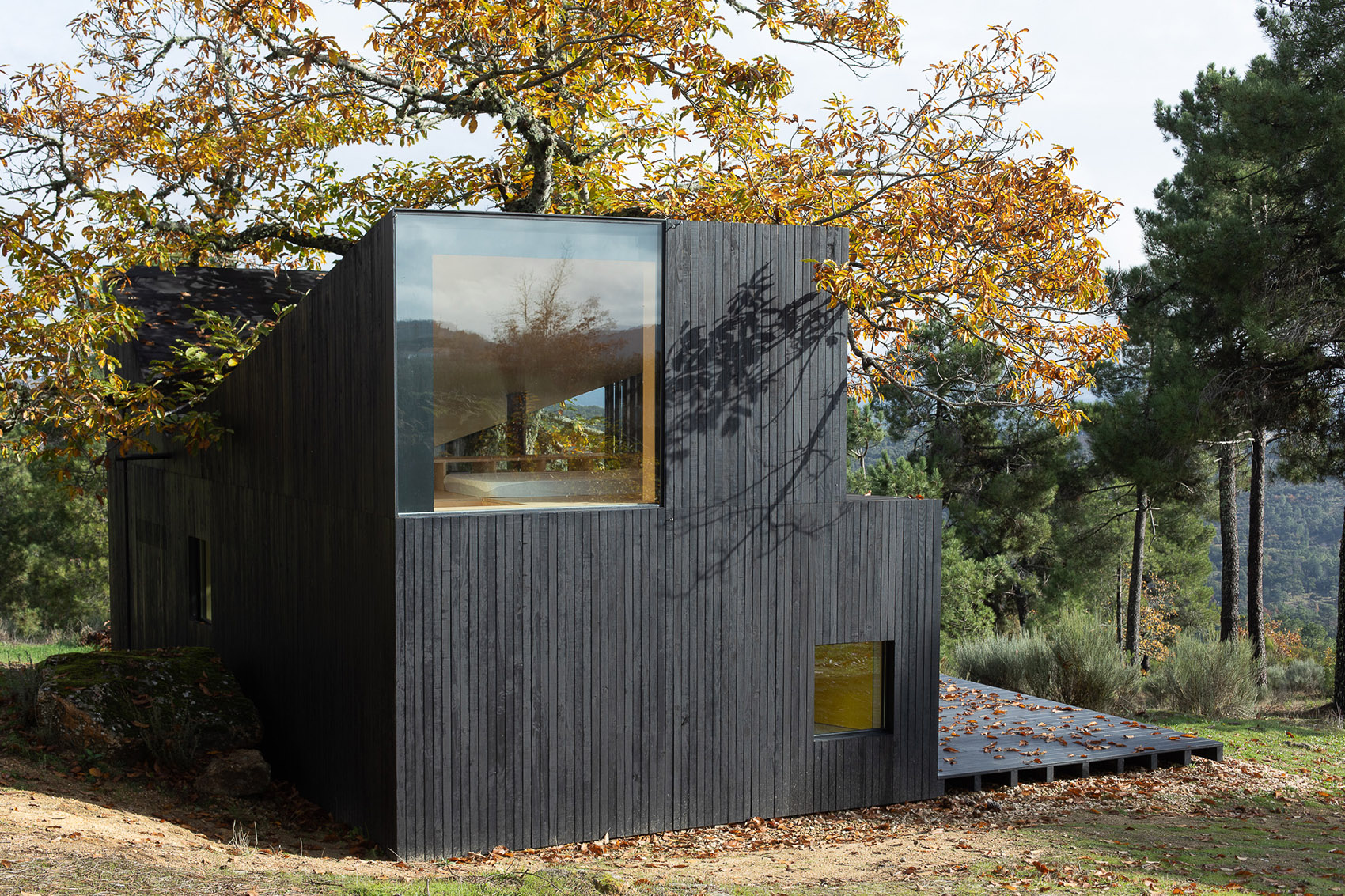 Chestnut House by João Mendes Ribeiro Architect 谷德设计网