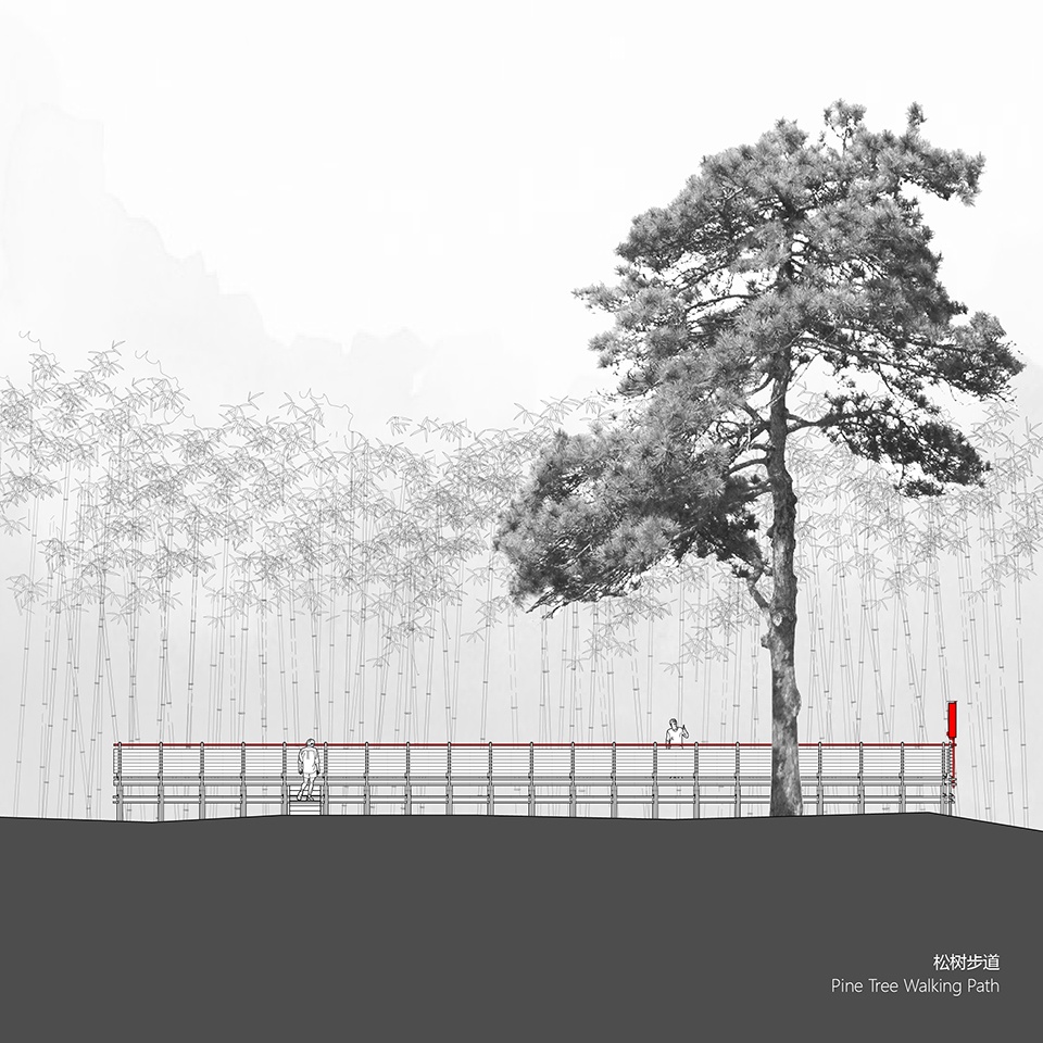 Bamboo Forest Walking Path at Sun Township Huoshan County Anhui Province by Fu Yingbin Studio