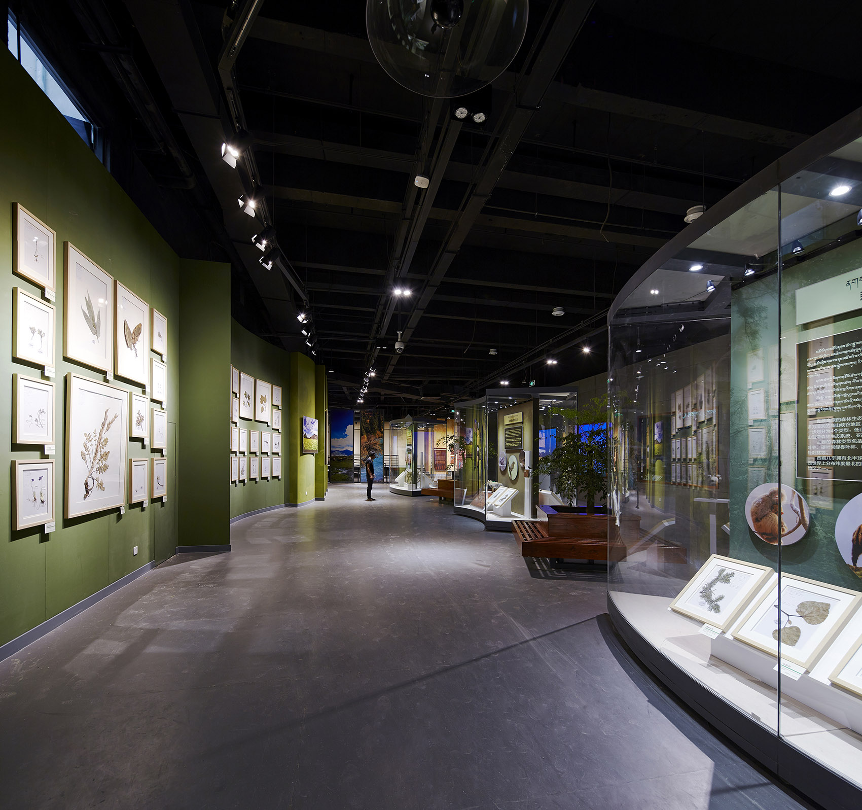 Tibet Natural Science Museum By Cendes Design tibet-natural-science-museum-by-cendes-design