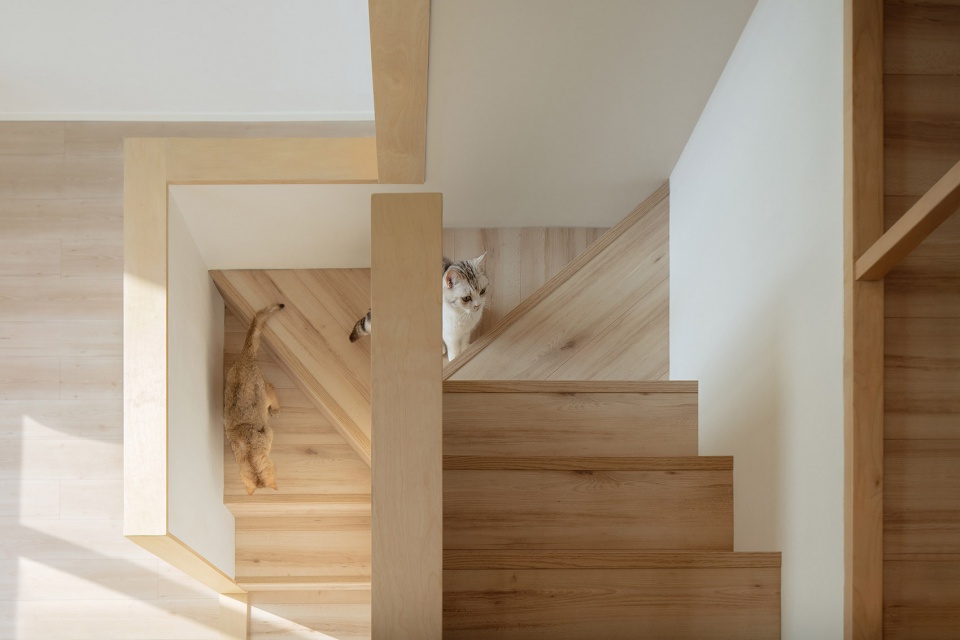 home for a girl and six cats residential unit design by jiejie studio
