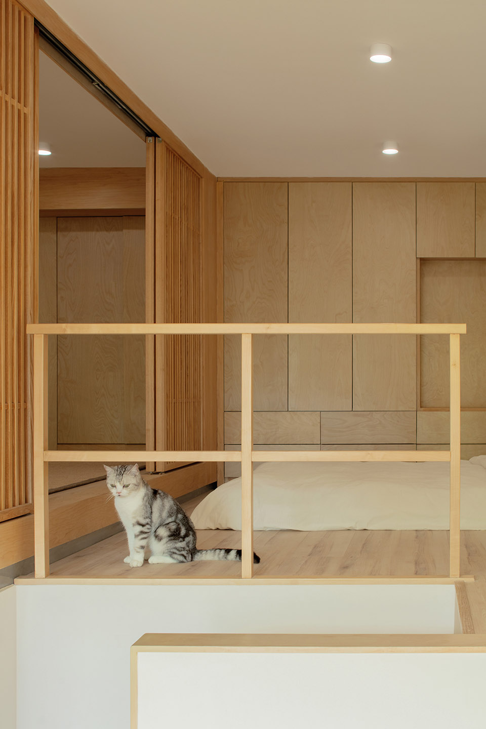 Home for a Girl and Six Cats Residential Unit Design by JIEJIE STUDIO ...