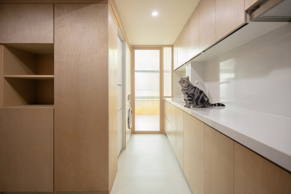 home for a girl and six cats residential unit design by jiejie studio