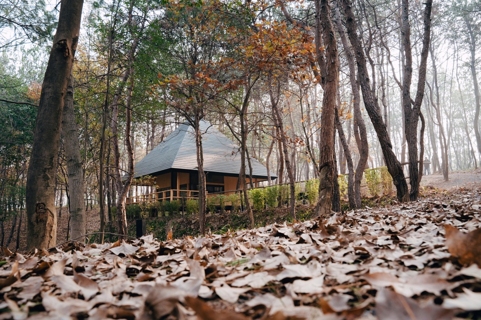 Wild Home 96 The Pyramid Cabin China by Wiki World Advanced Architecture Lab