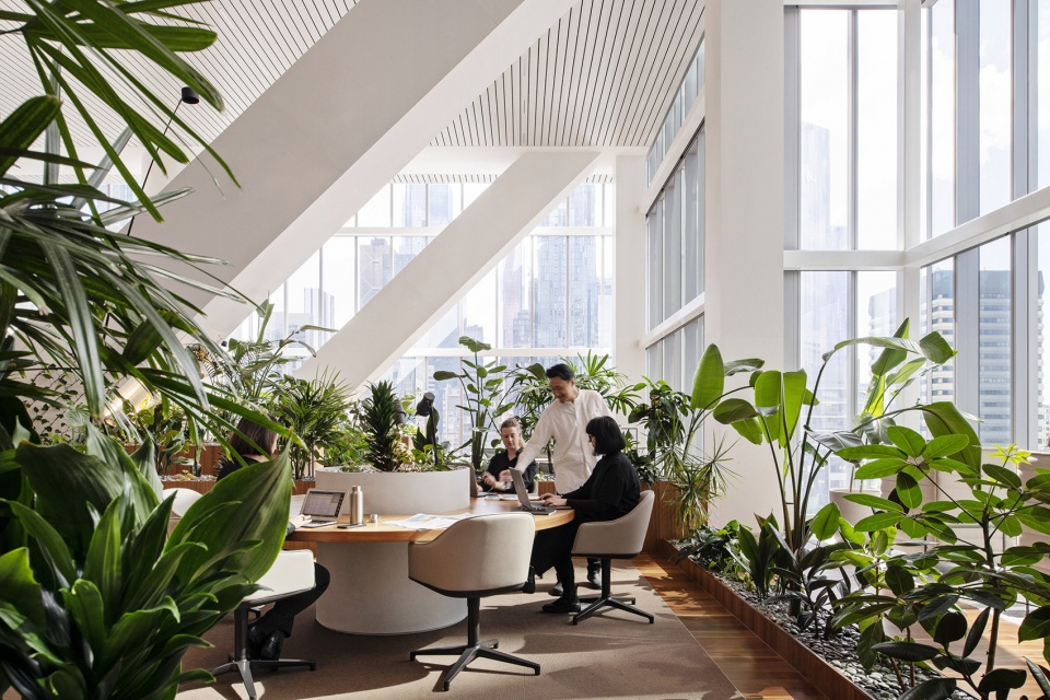 nab places new melbourne hq by hassell