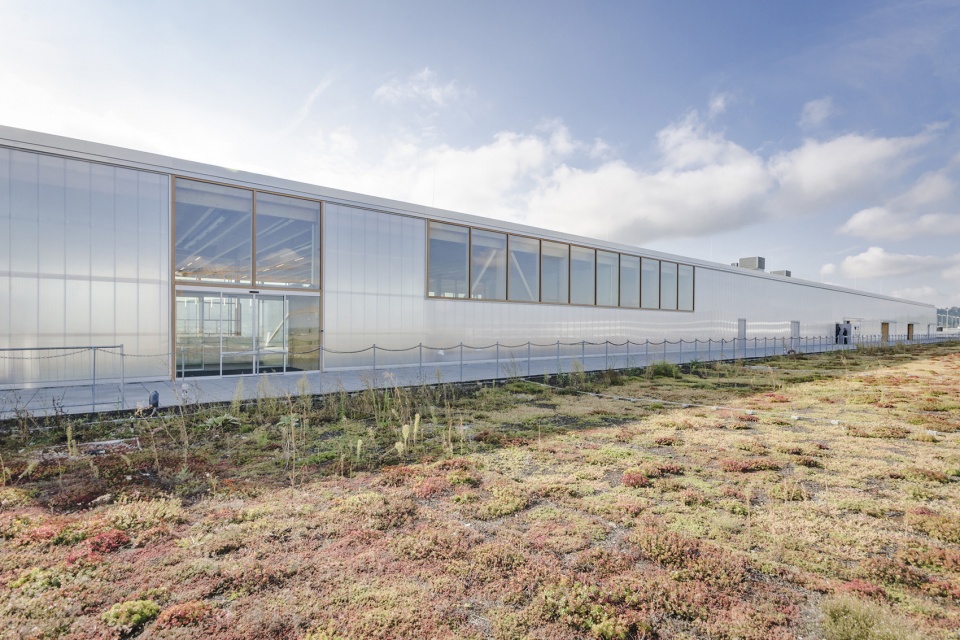 TRUMPF Fitness and Company Sports Center by Barkow Leibinger