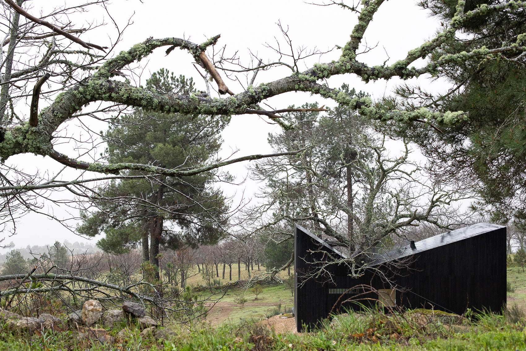 Chestnut House by João Mendes Ribeiro Architect 谷德设计网