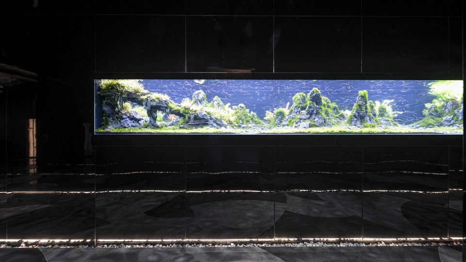 yakitori restaurant by ttd