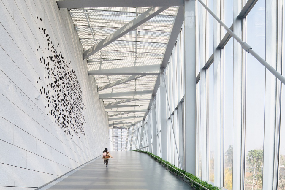 chengdu natural history museum by pelli clarke partners