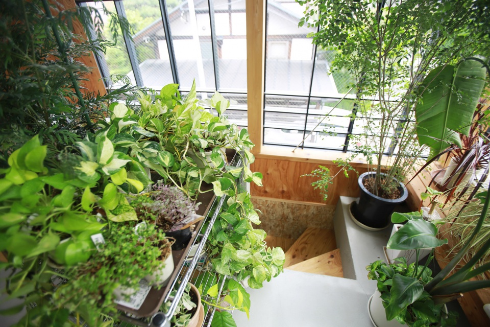kimoto house by niko design studio