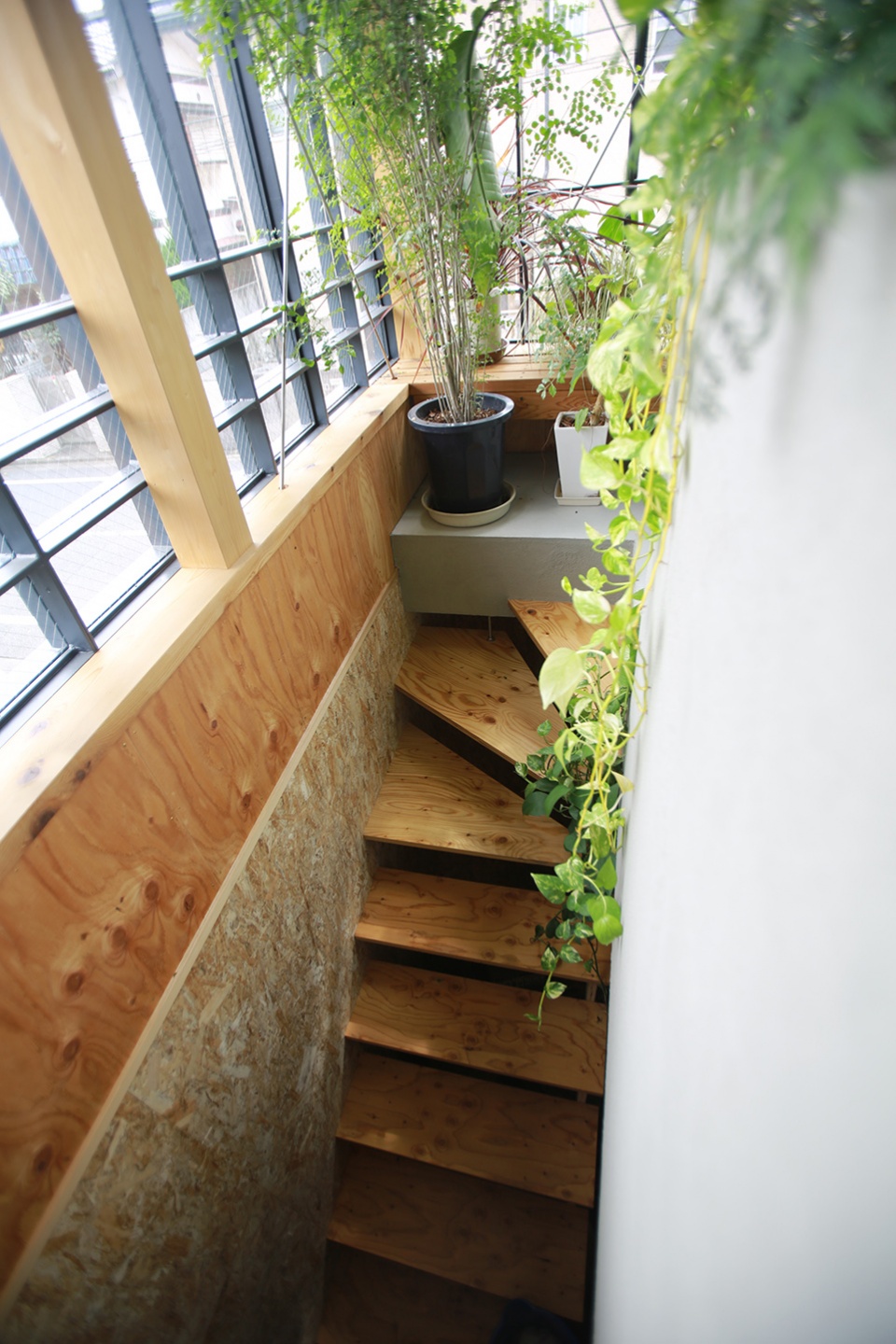 kimoto house by niko design studio