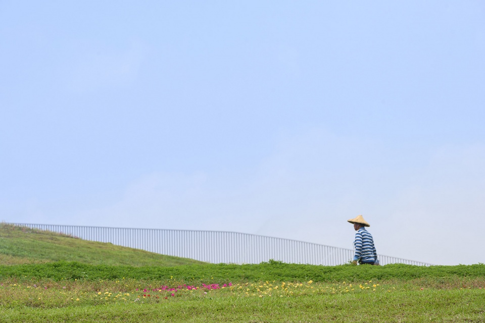 mvrdv completes wholesale market in tainan with publicly accessible roof