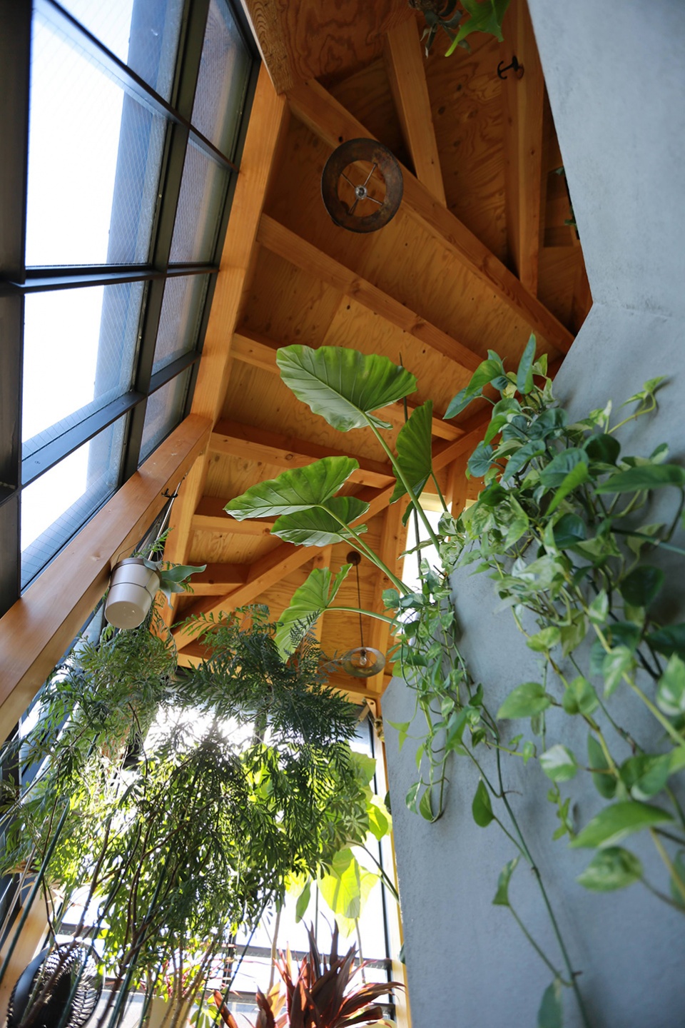 kimoto house by niko design studio