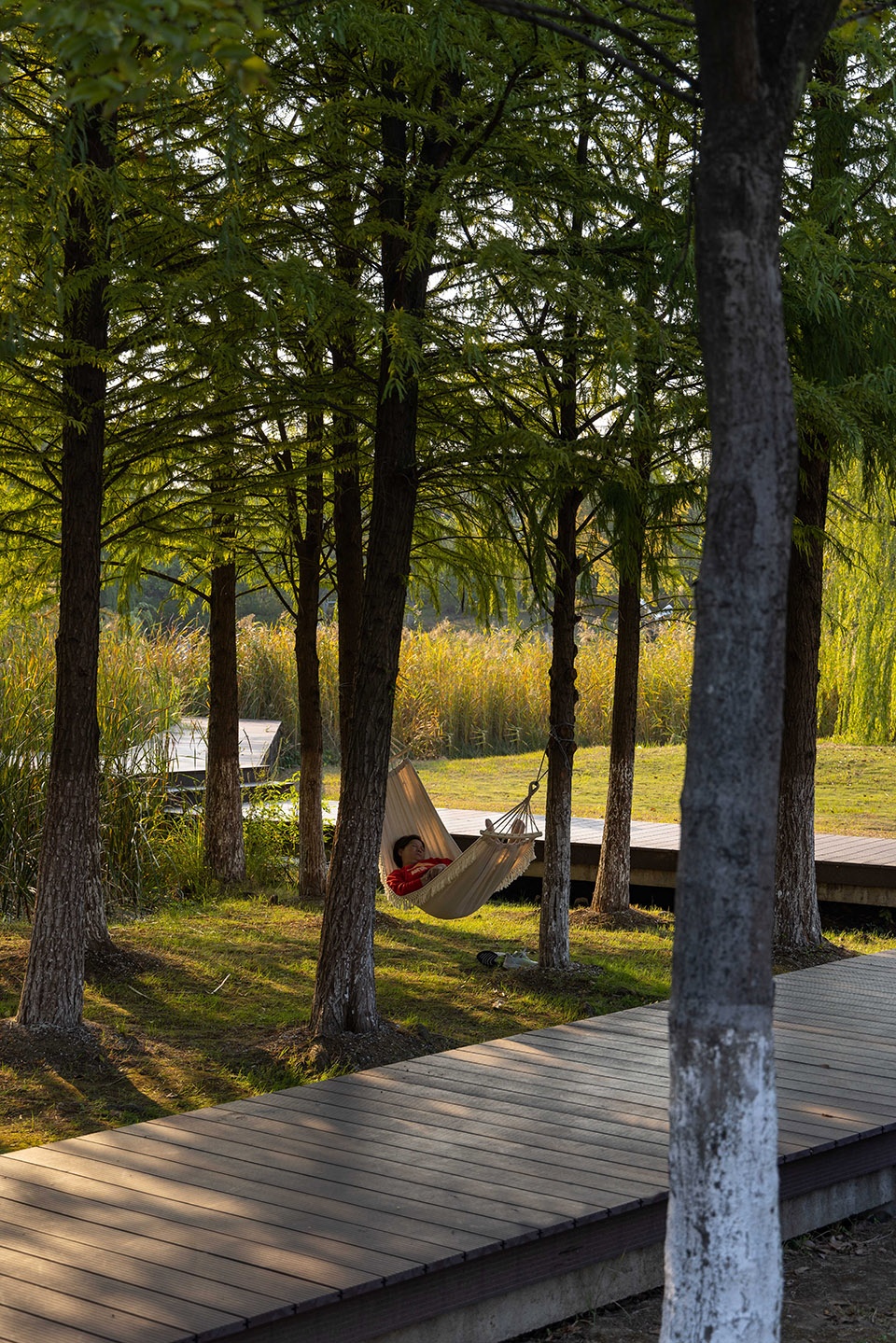 Zhongjiang Park Wuhu by L A Design