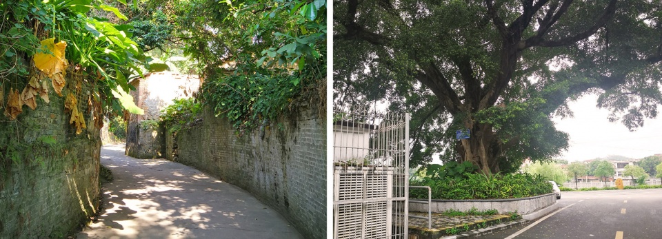 Organic renewal of the contiguous villages of Ding Peng and Huang by DONGDA SHENZHEN DESIGN CO LTD