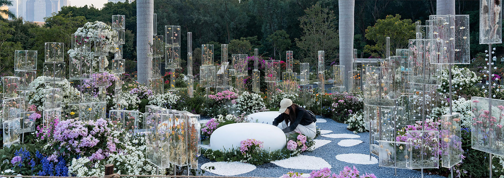 The Frozen Flower Gallery A garden of 2021 Shenzhen Bougainvillea