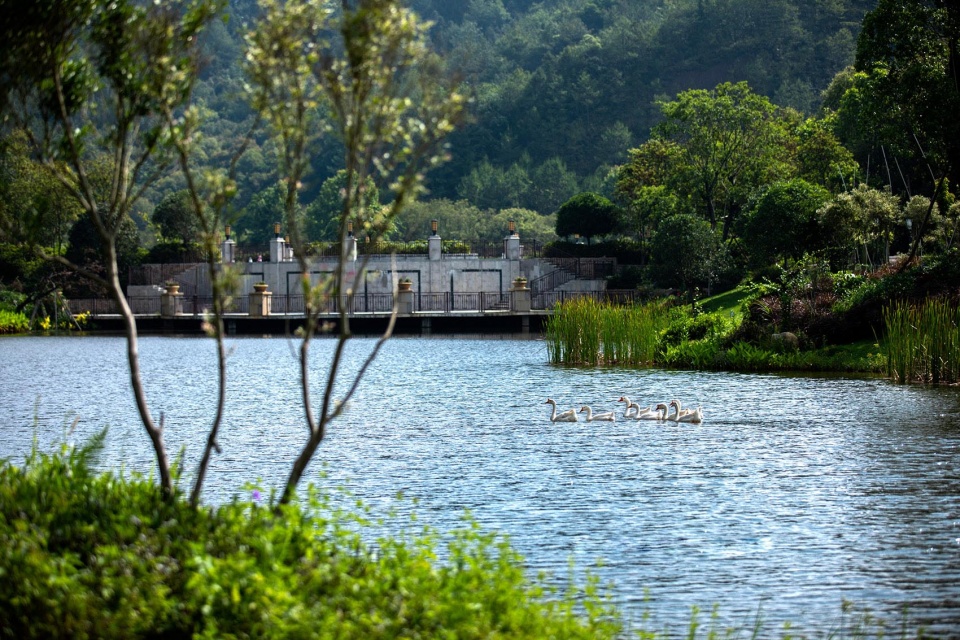 meizhou yanshan lake international garden resort china by belt collins international