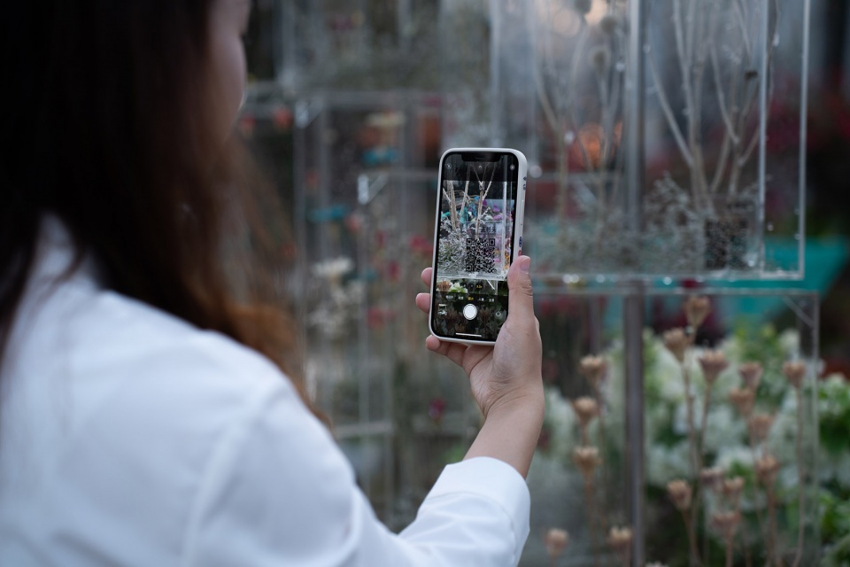 The Frozen Flower Gallery A garden of 2021 Shenzhen Bougainvillea Show by School of Architecture and Urban Planning Shenzhen University