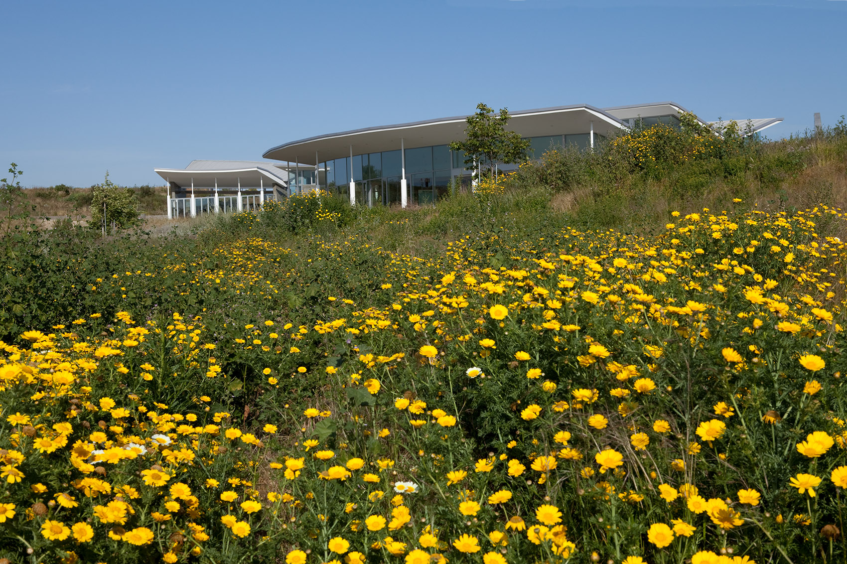 Baldwin Hills Scenic Overlook by Safdie Rabines Architects 谷德设计网