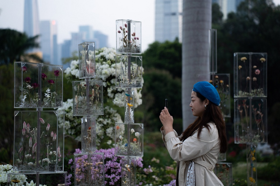 The Frozen Flower Gallery A garden of 2021 Shenzhen Bougainvillea Show by School of Architecture and Urban Planning Shenzhen University