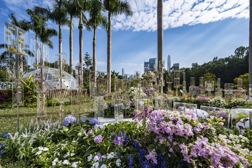 The Frozen Flower Gallery A garden of 2021 Shenzhen Bougainvillea Show by School of Architecture and Urban Planning Shenzhen University
