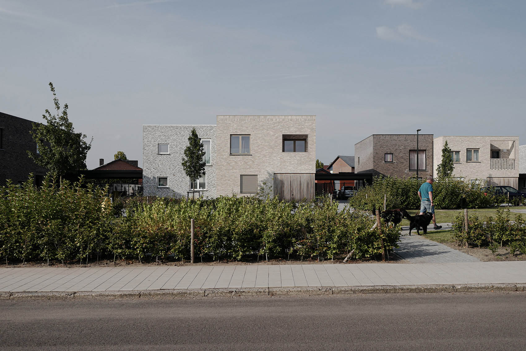 Social Housing in Dessel by Studio Farris Architects 谷德设计网