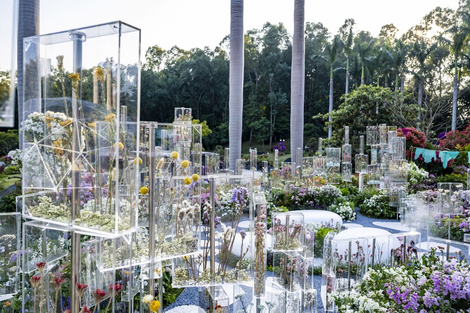 The Frozen Flower Gallery A garden of 2021 Shenzhen Bougainvillea Show by School of Architecture and Urban Planning Shenzhen University