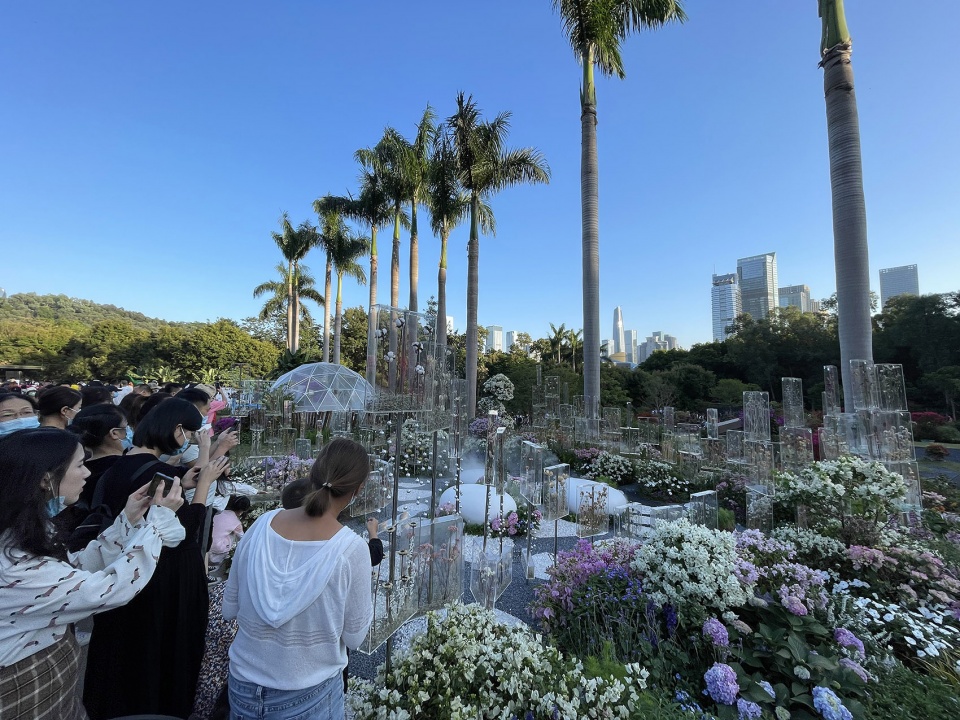 The Frozen Flower Gallery A garden of 2021 Shenzhen Bougainvillea Show by School of Architecture and Urban Planning Shenzhen University