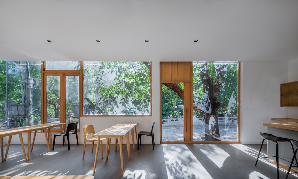 tom and jerry by dl atelier