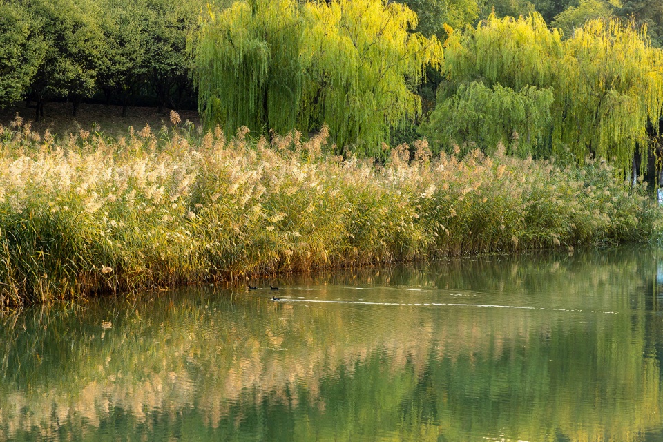 Zhongjiang Park Wuhu by L A Design