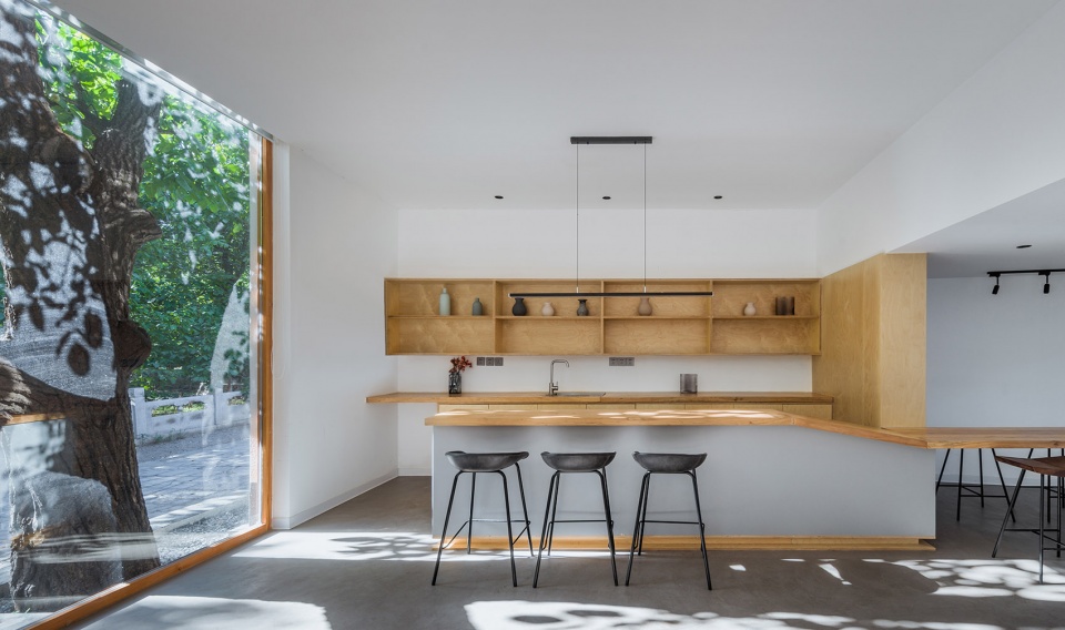 tom and jerry by dl atelier