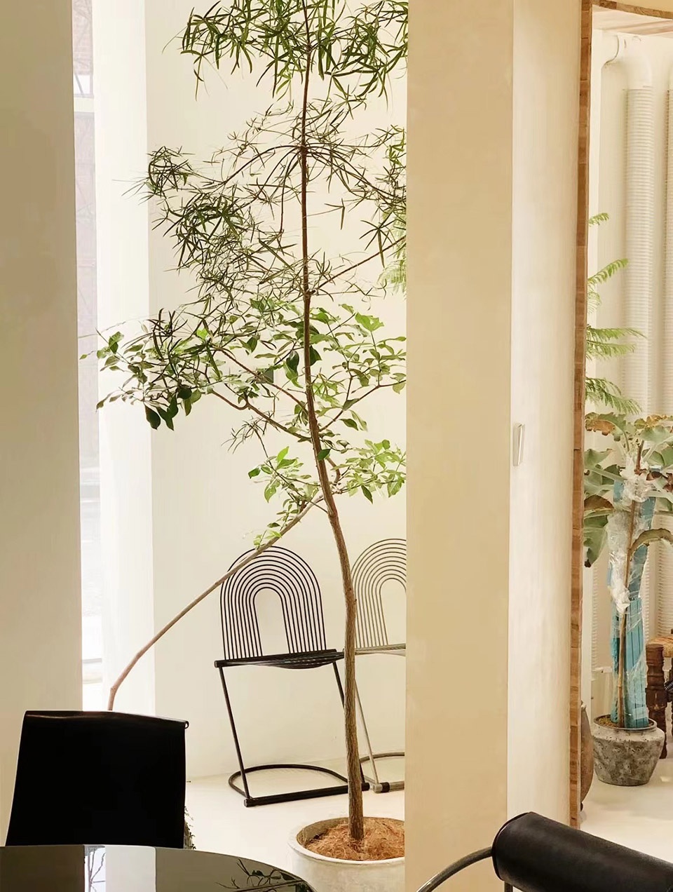 collectie store design by office forte