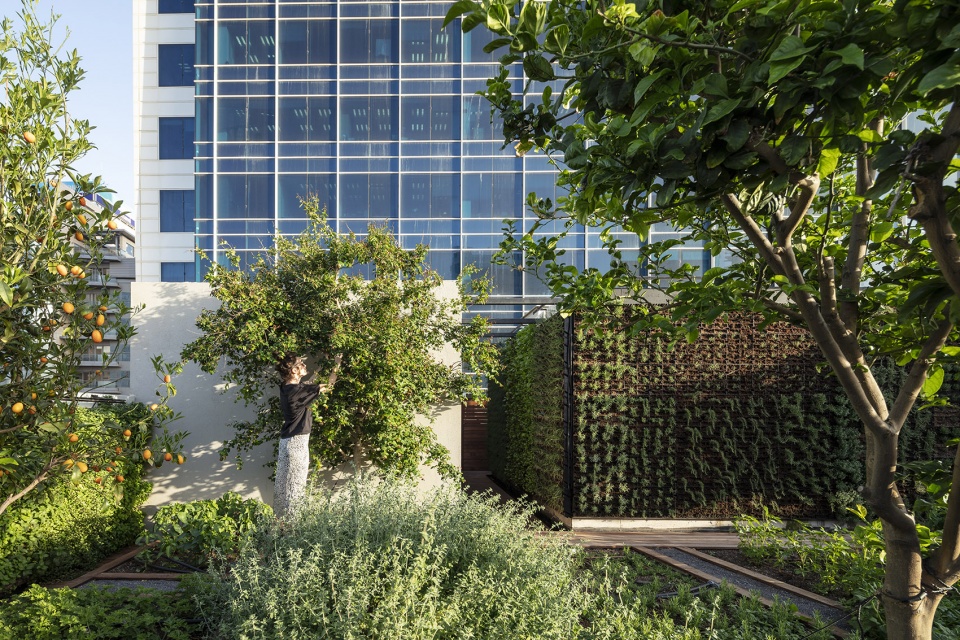 Asif Culinary Institute Kimmel Eshkolot Architects