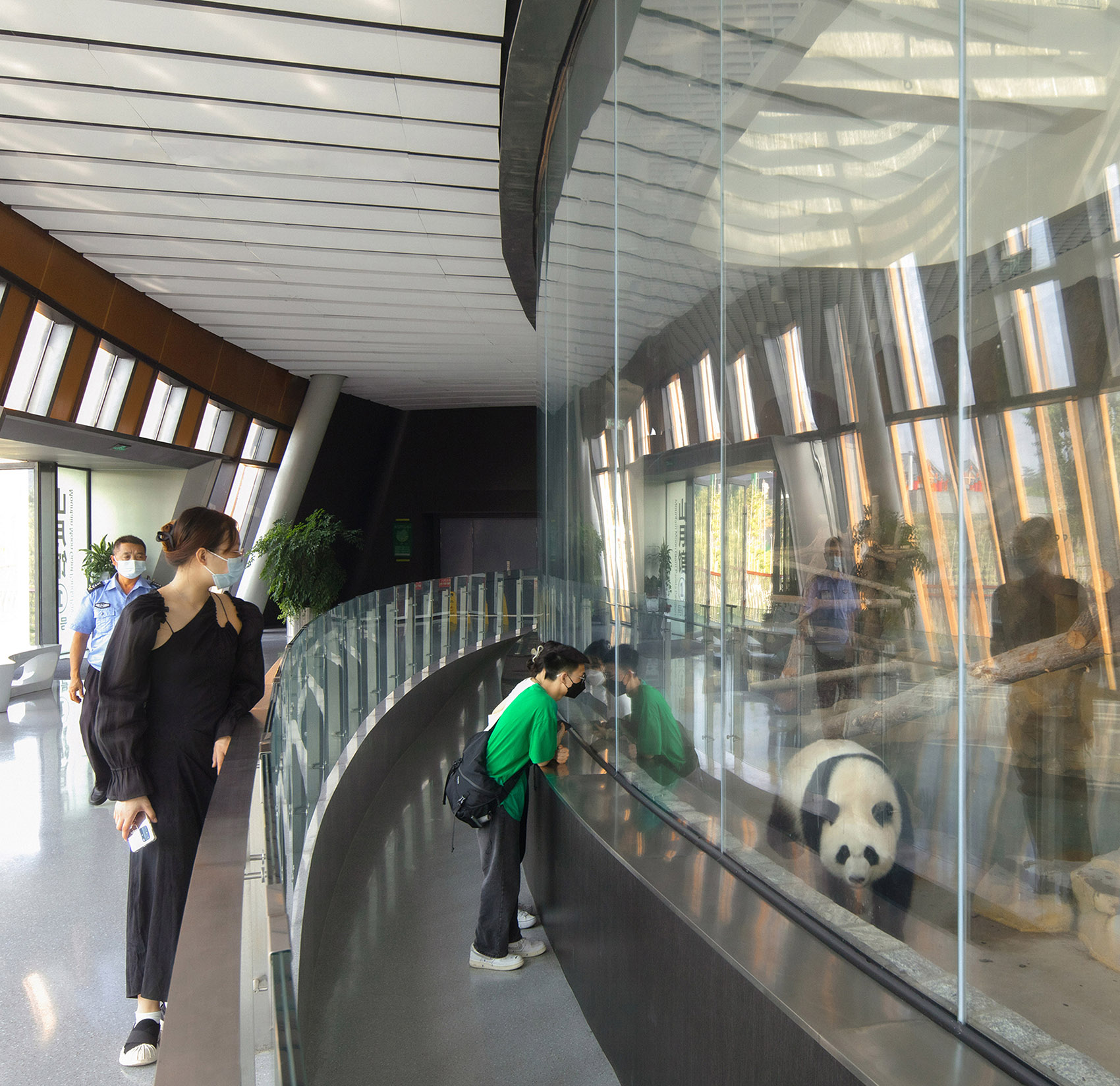 The Panda Pavilions in Chengdu by Atelier Ping Jiang, EID Arch 谷德设计网