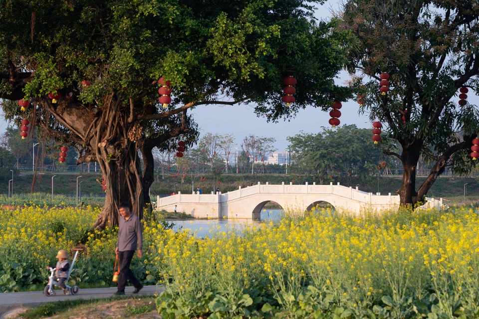 Organic renewal of the contiguous villages of Ding Peng and Huang by DONGDA SHENZHEN DESIGN CO LTD