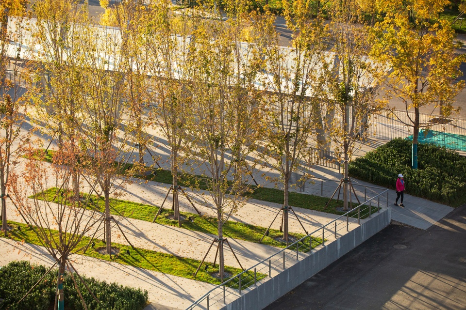 china national tennis center by la group