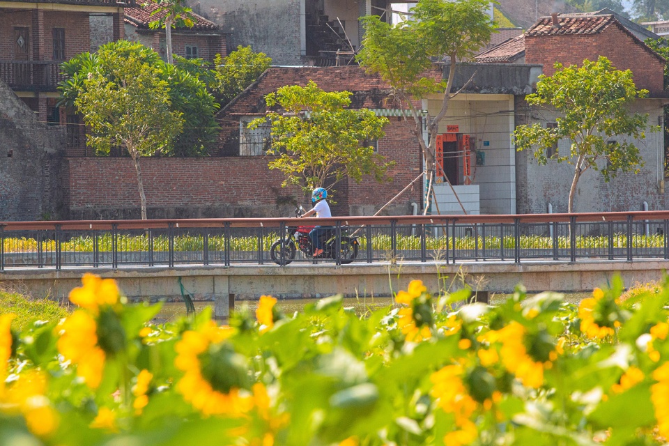Organic renewal of the contiguous villages of Ding Peng and Huang by DONGDA SHENZHEN DESIGN CO LTD