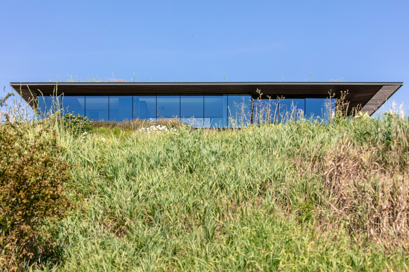 house-35-35-by-77studio