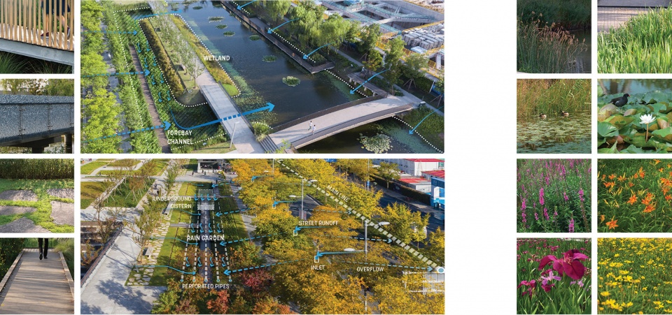 2021 asla urban design award of honor xuhui runway park sasaki