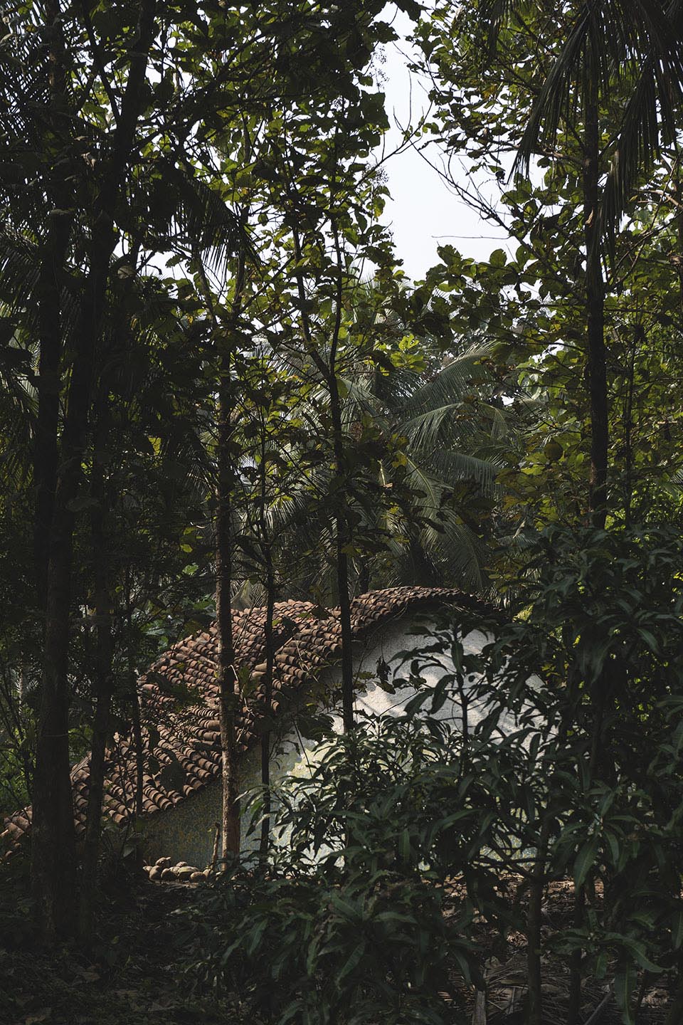 The Wendy House by Earthscape Studio 谷德设计网